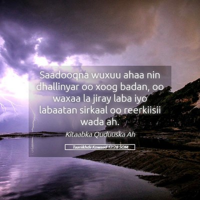 Picture 05 - Taariikhdii Kowaad 12:28 SOM - Saadooqna wuxuu ahaa nin dhallinyar oo xoog - Bible Verse Picture