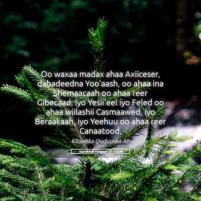 Picture 05 - Taariikhdii Kowaad 12:3 SOM - Oo waxaa madax ahaa Axiiceser, dabadeedna - Bible Verse Picture