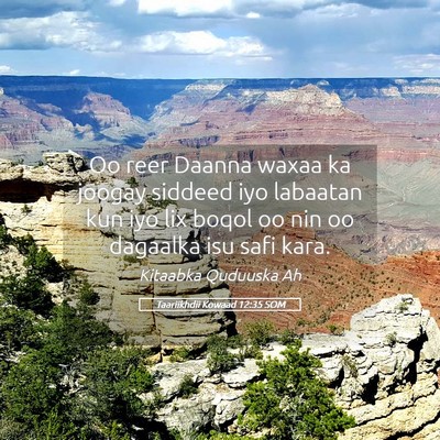 Picture 05 - Taariikhdii Kowaad 12:35 SOM - Oo reer Daanna waxaa ka joogay siddeed iyo - Bible Verse Picture