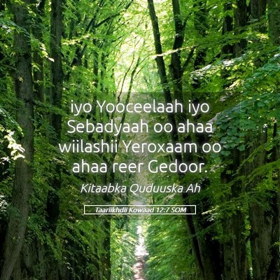 Picture 05 - Taariikhdii Kowaad 12:7 SOM - iyo Yooceelaah iyo Sebadyaah oo ahaa wiilashii - Bible Verse Picture
