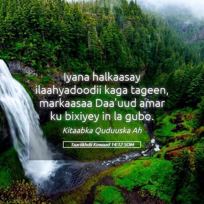 Picture 05 - Taariikhdii Kowaad 14:12 SOM - Iyana halkaasay ilaahyadoodii kaga tageen, - Bible Verse Picture
