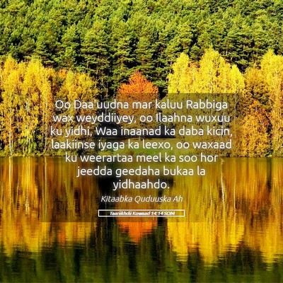 Picture 05 - Taariikhdii Kowaad 14:14 SOM - Oo Daa'uudna mar kaluu Rabbiga wax weyddiiyey, oo - Bible Verse Picture