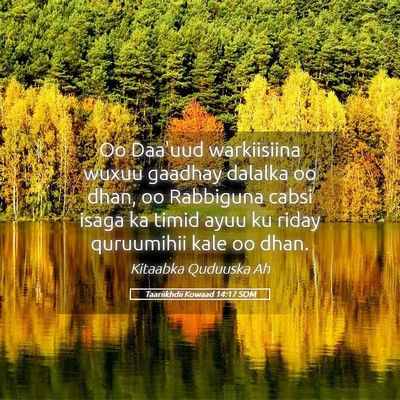 Picture 05 - Taariikhdii Kowaad 14:17 SOM - Oo Daa'uud warkiisiina wuxuu gaadhay dalalka oo - Bible Verse Picture