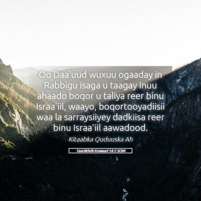 Picture 05 - Taariikhdii Kowaad 14:2 SOM - Oo Daa'uud wuxuu ogaaday in Rabbigu isaga u - Bible Verse Picture