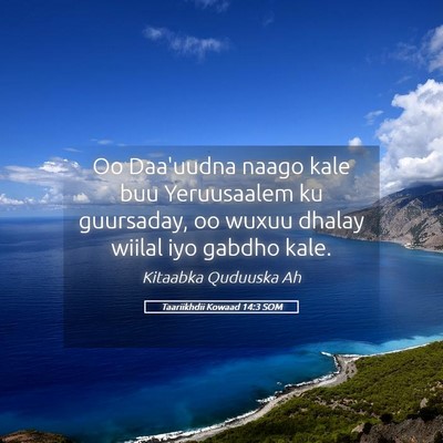 Picture 05 - Taariikhdii Kowaad 14:3 SOM - Oo Daa'uudna naago kale buu Yeruusaalem ku - Bible Verse Picture