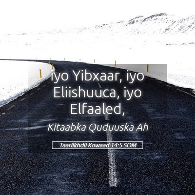 Picture 05 - Taariikhdii Kowaad 14:5 SOM - iyo Yibxaar, iyo Eliishuuca, iyo - Bible Verse Picture