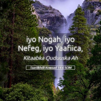Picture 05 - Taariikhdii Kowaad 14:6 SOM - iyo Nogah, iyo Nefeg, iyo - Bible Verse Picture