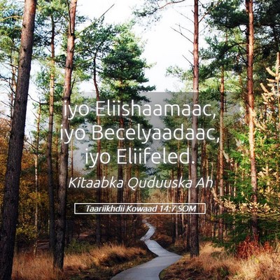 Picture 05 - Taariikhdii Kowaad 14:7 SOM - iyo Eliishaamaac, iyo Becelyaadaac, iyo - Bible Verse Picture
