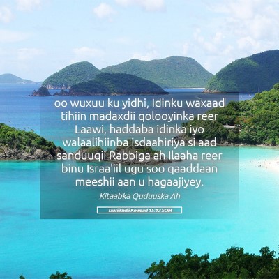 Picture 05 - Taariikhdii Kowaad 15:12 SOM - oo wuxuu ku yidhi, Idinku waxaad tihiin madaxdii - Bible Verse Picture