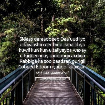 Picture 05 - Taariikhdii Kowaad 15:25 SOM - Sidaas daraaddeed Daa'uud iyo odayaashii reer - Bible Verse Picture