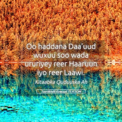 Picture 05 - Taariikhdii Kowaad 15:4 SOM - Oo haddana Daa'uud wuxuu soo wada ururiyey reer - Bible Verse Picture