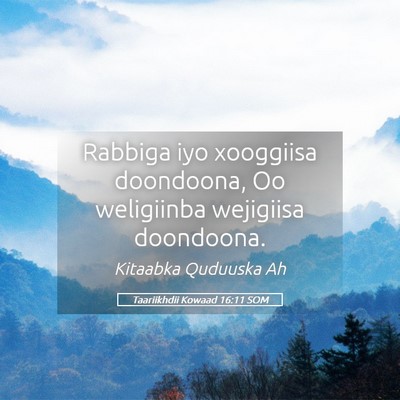 Picture 05 - Taariikhdii Kowaad 16:11 SOM - Rabbiga iyo xooggiisa doondoona, Oo weligiinba - Bible Verse Picture