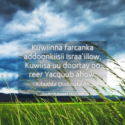 Picture 05 - Taariikhdii Kowaad 16:13 SOM - Kuwiinna farcanka addoonkiisii Israa'iilow, - Bible Verse Picture