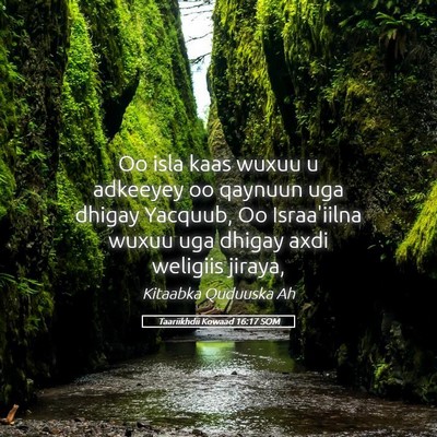 Picture 05 - Taariikhdii Kowaad 16:17 SOM - Oo isla kaas wuxuu u adkeeyey oo qaynuun uga - Bible Verse Picture