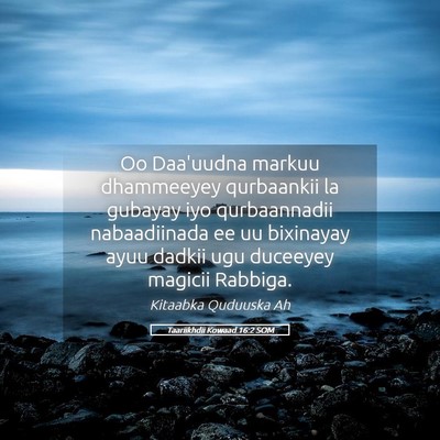 Picture 05 - Taariikhdii Kowaad 16:2 SOM - Oo Daa'uudna markuu dhammeeyey qurbaankii la - Bible Verse Picture