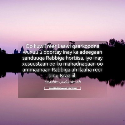 Picture 05 - Taariikhdii Kowaad 16:4 SOM - Oo kuwii reer Laawi qaarkoodna wuxuu u doortay - Bible Verse Picture