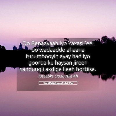 Picture 05 - Taariikhdii Kowaad 16:6 SOM - Oo Benaayaah iyo Yaxasii'eel oo wadaaddo ahaana - Bible Verse Picture