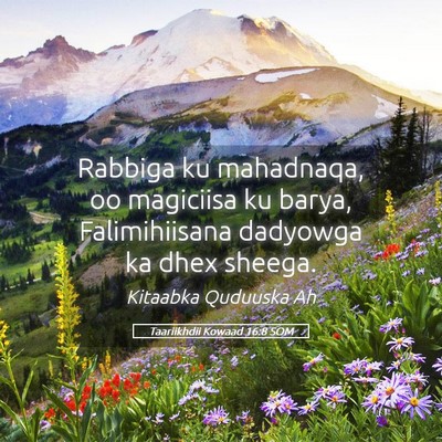 Picture 05 - Taariikhdii Kowaad 16:8 SOM - Rabbiga ku mahadnaqa, oo magiciisa ku barya, - Bible Verse Picture