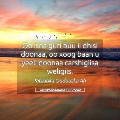 Picture 05 - Taariikhdii Kowaad 17:12 SOM - Oo isna guri buu ii dhisi doonaa, oo xoog baan u - Bible Verse Picture