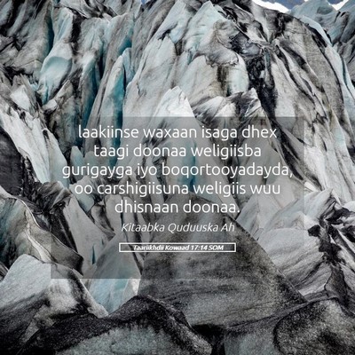 Picture 05 - Taariikhdii Kowaad 17:14 SOM - laakiinse waxaan isaga dhex taagi doonaa - Bible Verse Picture