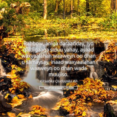 Picture 05 - Taariikhdii Kowaad 17:19 SOM - Rabbow, aniga daraadday, iyo qalbigaaga siduu - Bible Verse Picture