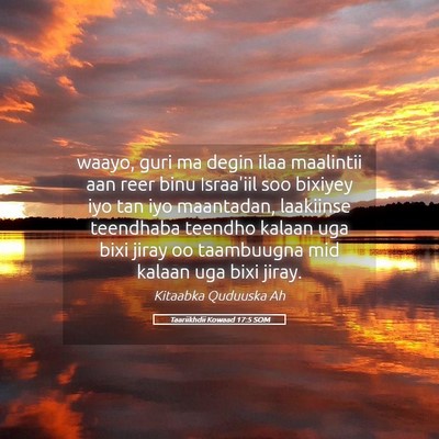 Picture 05 - Taariikhdii Kowaad 17:5 SOM - waayo, guri ma degin ilaa maalintii aan reer binu - Bible Verse Picture
