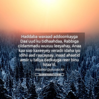 Picture 05 - Taariikhdii Kowaad 17:7 SOM - Haddaba waxaad addoonkayga Daa'uud ku tidhaahdaa, - Bible Verse Picture