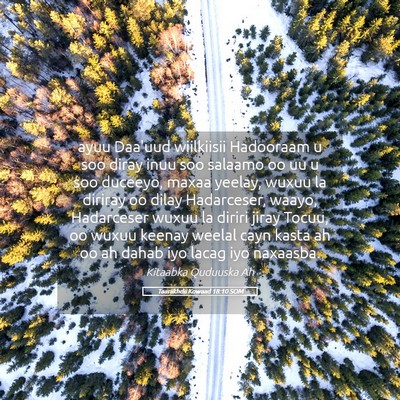 Picture 05 - Taariikhdii Kowaad 18:10 SOM - ayuu Daa'uud wiilkiisii Hadooraam u soo diray - Bible Verse Picture