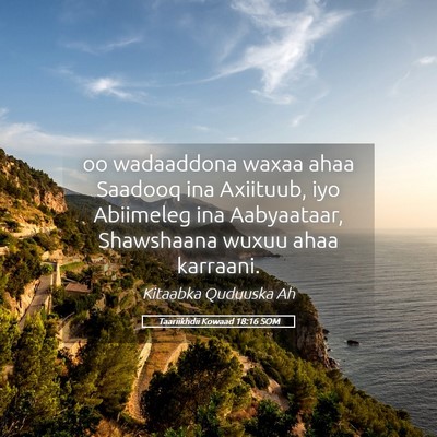 Picture 05 - Taariikhdii Kowaad 18:16 SOM - oo wadaaddona waxaa ahaa Saadooq ina Axiituub, - Bible Verse Picture