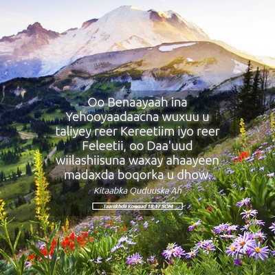 Picture 05 - Taariikhdii Kowaad 18:17 SOM - Oo Benaayaah ina Yehooyaadaacna wuxuu u taliyey - Bible Verse Picture