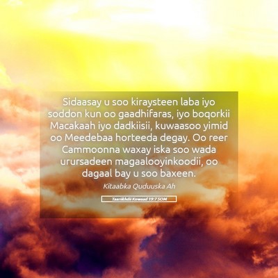 Picture 05 - Taariikhdii Kowaad 19:7 SOM - Sidaasay u soo kiraysteen laba iyo soddon kun oo - Bible Verse Picture