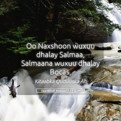 Picture 05 - Taariikhdii Kowaad 2:11 SOM - Oo Naxshoon wuxuu dhalay Salmaa, Salmaana wuxuu - Bible Verse Picture