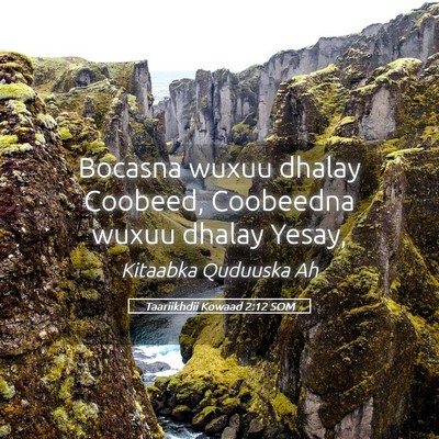 Picture 05 - Taariikhdii Kowaad 2:12 SOM - Bocasna wuxuu dhalay Coobeed, Coobeedna wuxuu - Bible Verse Picture