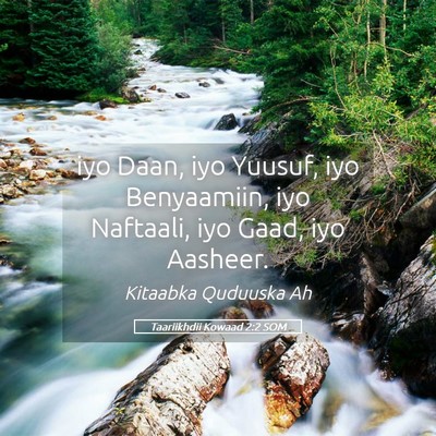 Picture 05 - Taariikhdii Kowaad 2:2 SOM - iyo Daan, iyo Yuusuf, iyo Benyaamiin, iyo - Bible Verse Picture