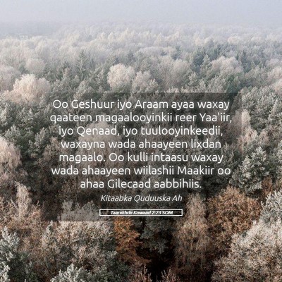 Picture 05 - Taariikhdii Kowaad 2:23 SOM - Oo Geshuur iyo Araam ayaa waxay qaateen - Bible Verse Picture