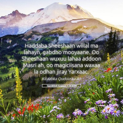 Picture 05 - Taariikhdii Kowaad 2:34 SOM - Haddaba Sheeshaan wiilal ma lahayn, gabdho - Bible Verse Picture