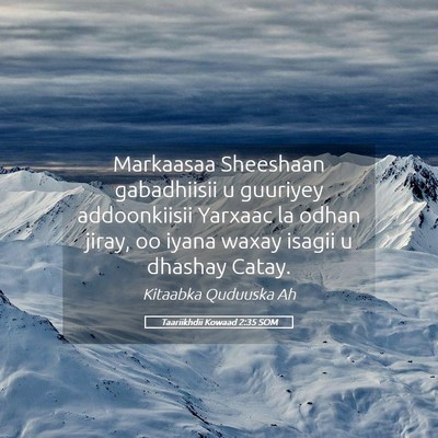 Picture 05 - Taariikhdii Kowaad 2:35 SOM - Markaasaa Sheeshaan gabadhiisii u guuriyey - Bible Verse Picture