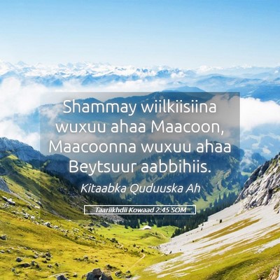 Picture 05 - Taariikhdii Kowaad 2:45 SOM - Shammay wiilkiisiina wuxuu ahaa Maacoon, - Bible Verse Picture