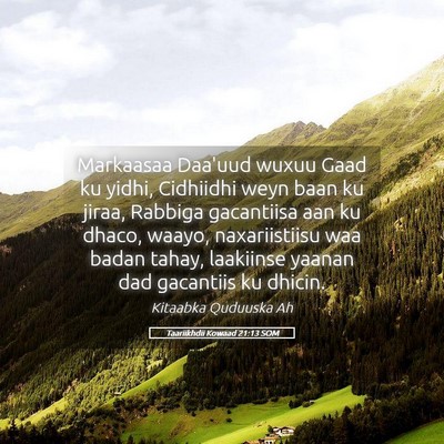 Picture 05 - Taariikhdii Kowaad 21:13 SOM - Markaasaa Daa'uud wuxuu Gaad ku yidhi, Cidhiidhi - Bible Verse Picture