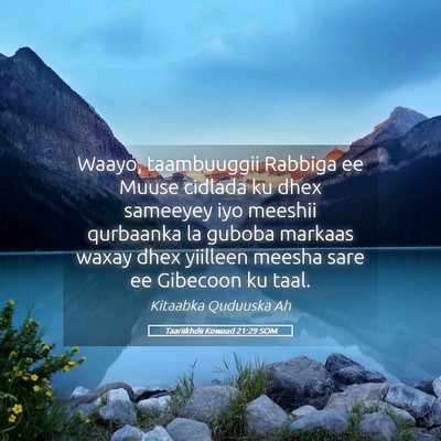 Picture 05 - Taariikhdii Kowaad 21:29 SOM - Waayo, taambuuggii Rabbiga ee Muuse cidlada ku - Bible Verse Picture
