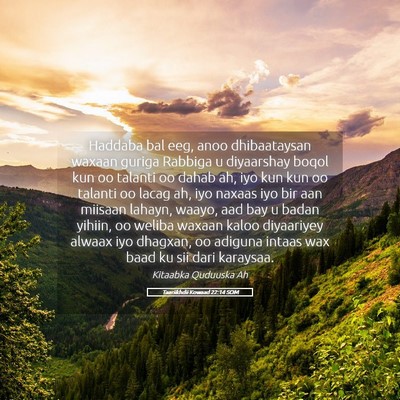 Picture 05 - Taariikhdii Kowaad 22:14 SOM - Haddaba bal eeg, anoo dhibaataysan waxaan guriga - Bible Verse Picture