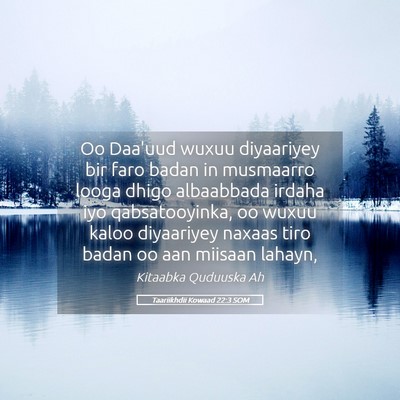 Picture 05 - Taariikhdii Kowaad 22:3 SOM - Oo Daa'uud wuxuu diyaariyey bir faro badan in - Bible Verse Picture