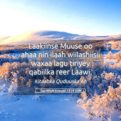 Picture 05 - Taariikhdii Kowaad 23:14 SOM - Laakiinse Muuse oo ahaa nin Ilaah wiilashiisii - Bible Verse Picture