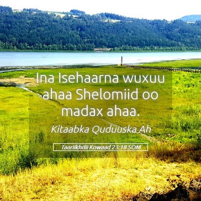 Picture 05 - Taariikhdii Kowaad 23:18 SOM - Ina Isehaarna wuxuu ahaa Shelomiid oo madax - Bible Verse Picture