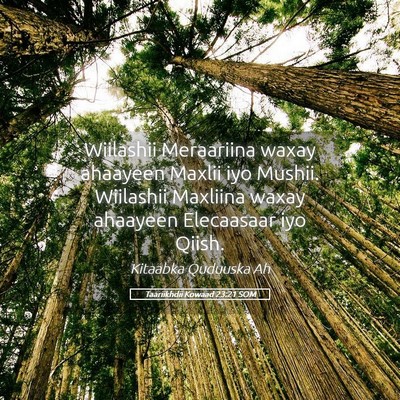 Picture 05 - Taariikhdii Kowaad 23:21 SOM - Wiilashii Meraariina waxay ahaayeen Maxlii iyo - Bible Verse Picture