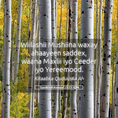 Picture 05 - Taariikhdii Kowaad 23:23 SOM - Wiilashii Mushiina waxay ahaayeen saddex, waana - Bible Verse Picture
