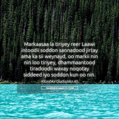 Picture 05 - Taariikhdii Kowaad 23:3 SOM - Markaasaa la tiriyey reer Laawi intoodii soddon - Bible Verse Picture