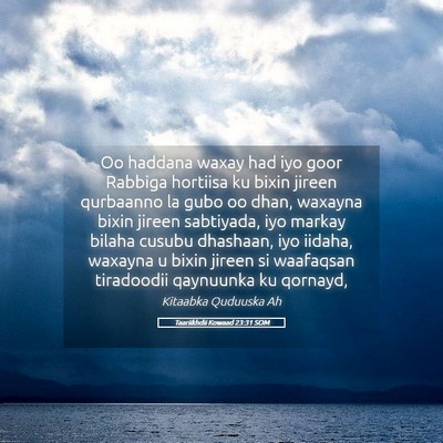 Picture 05 - Taariikhdii Kowaad 23:31 SOM - Oo haddana waxay had iyo goor Rabbiga hortiisa ku - Bible Verse Picture