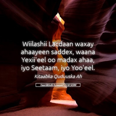 Picture 05 - Taariikhdii Kowaad 23:8 SOM - Wiilashii Lacdaan waxay ahaayeen saddex, waana - Bible Verse Picture