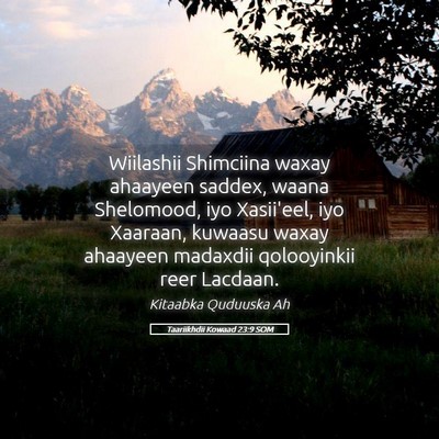 Picture 05 - Taariikhdii Kowaad 23:9 SOM - Wiilashii Shimciina waxay ahaayeen saddex, waana - Bible Verse Picture